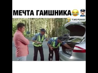 video by prikoldesy